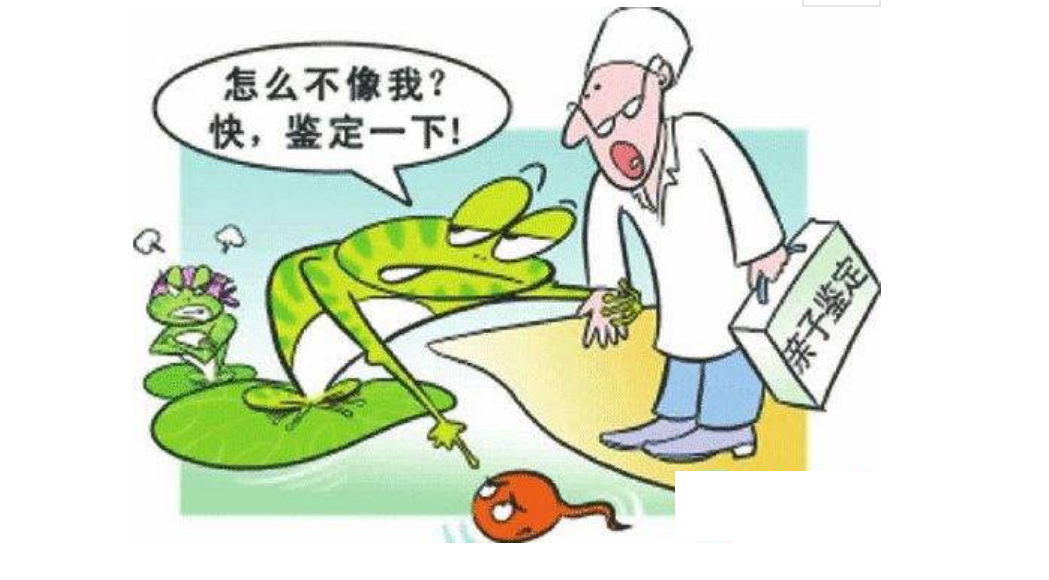 亲子鉴定不仅仅是一项生物技术